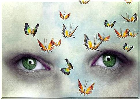 green-eyes-and-butterflies