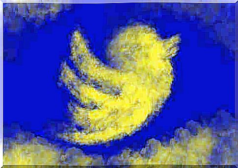 Cloud representing the twitter logo.