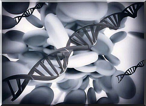 Epigenetics: are traumas hereditary?