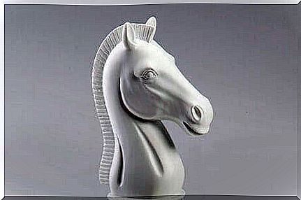 White horse chess pawn