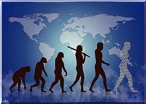 Human evolution from ape to present man