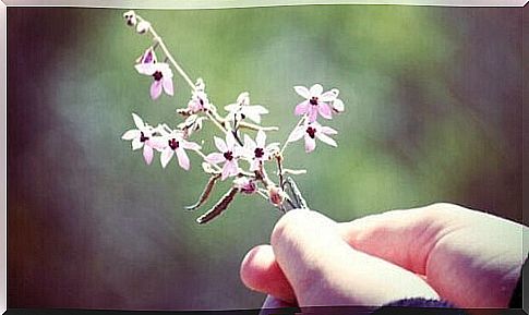 Hand giving flowers in gratitude