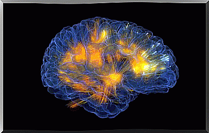 Brain representing the psychology of connection