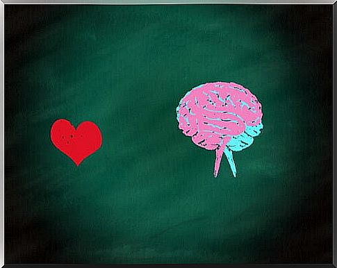 heart and brain