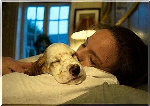 Sleeping with your pet to feel good