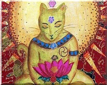 The Buddhist legend about cats