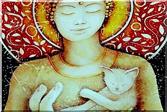 image of buddha and kitten