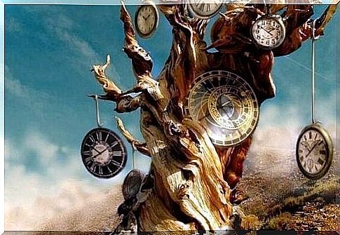 Tree with clocks that mark our time