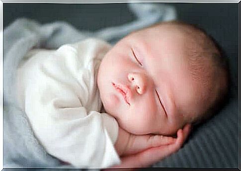 Newborn sleeping