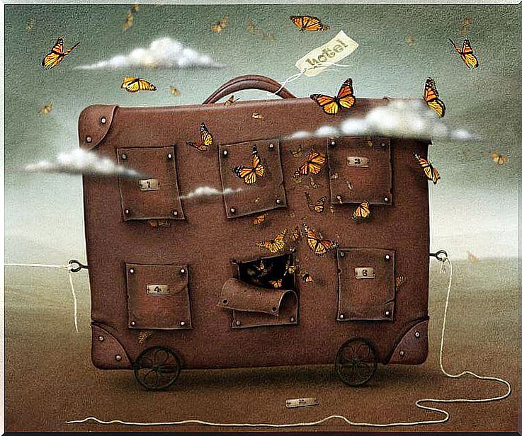 suitcase and butterflies